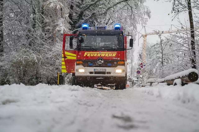 Feuerwehrleute beseitigen Bäume und Äste, die auf Straßen und Wege stürzten.