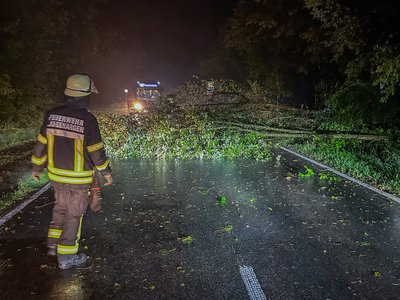 Die Feuerwehr entfernt einen Baum von der L 334.