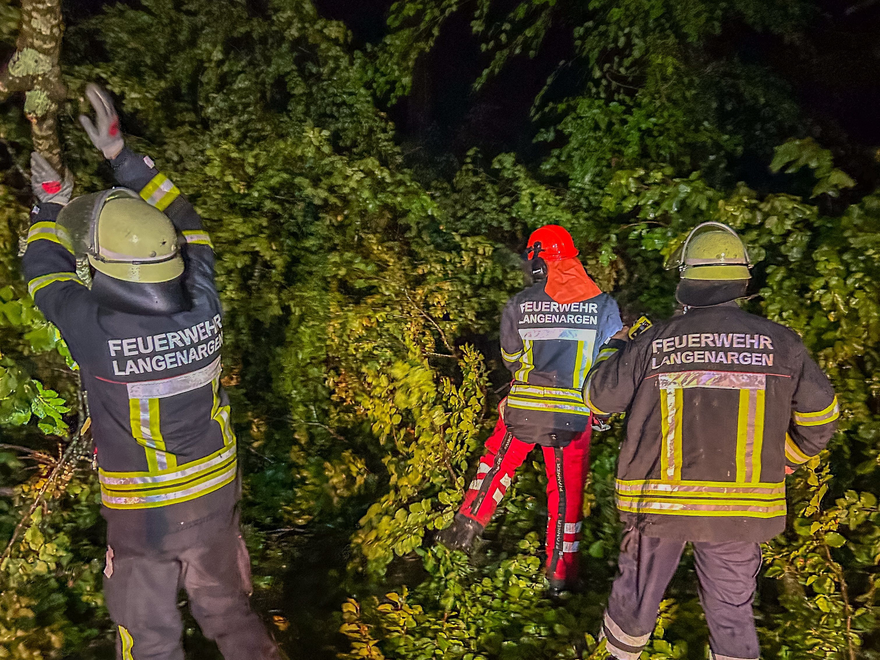 Zu sehen ist wie die Feuerwehr umgestürzte Bäume von der Straße entfernt.