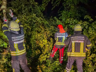 Zu sehen ist wie die Feuerwehr umgestürzte Bäume von der Straße entfernt.