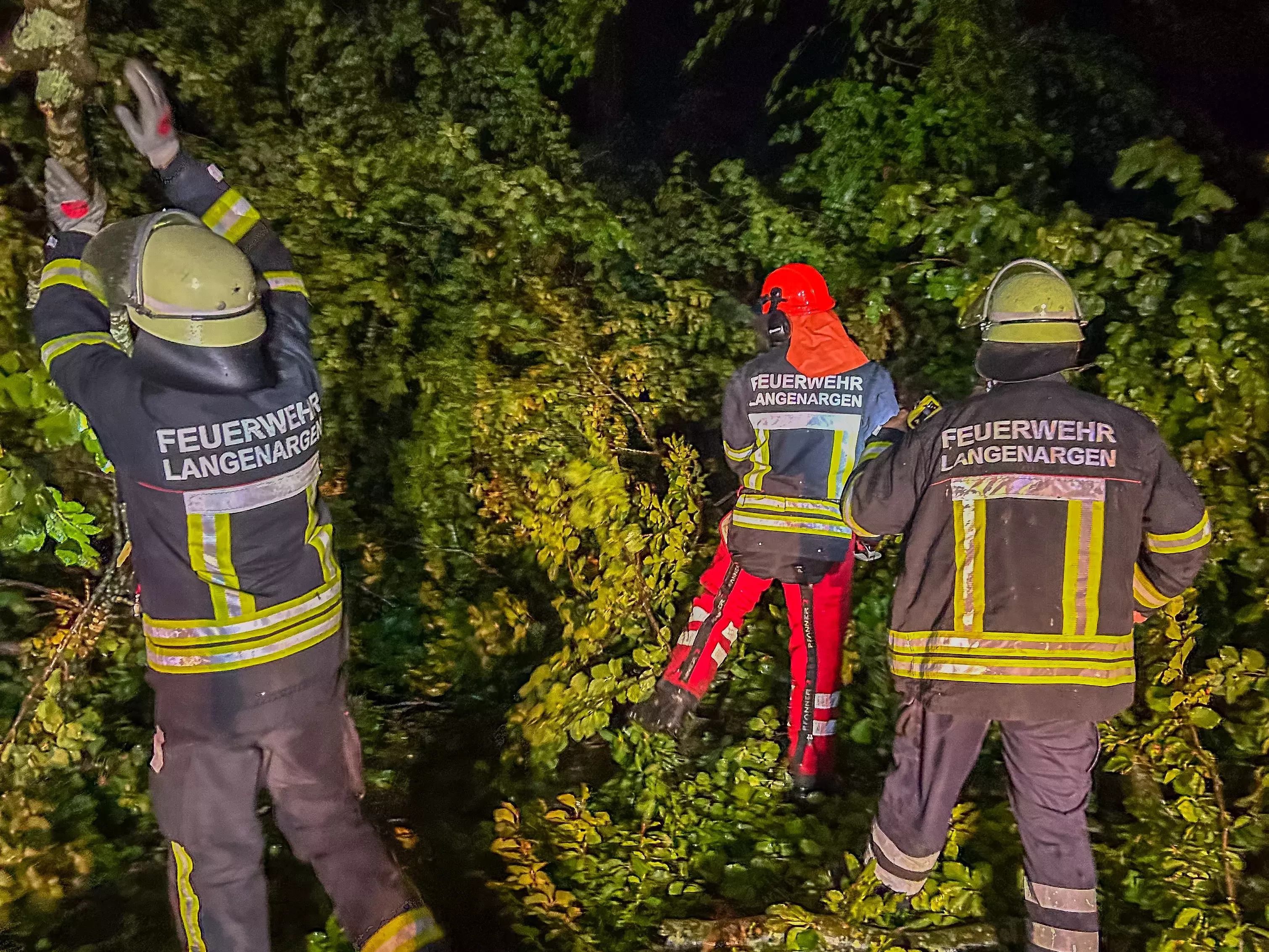 Zu sehen ist wie die Feuerwehr die umgestürzten Bäume entfernt.