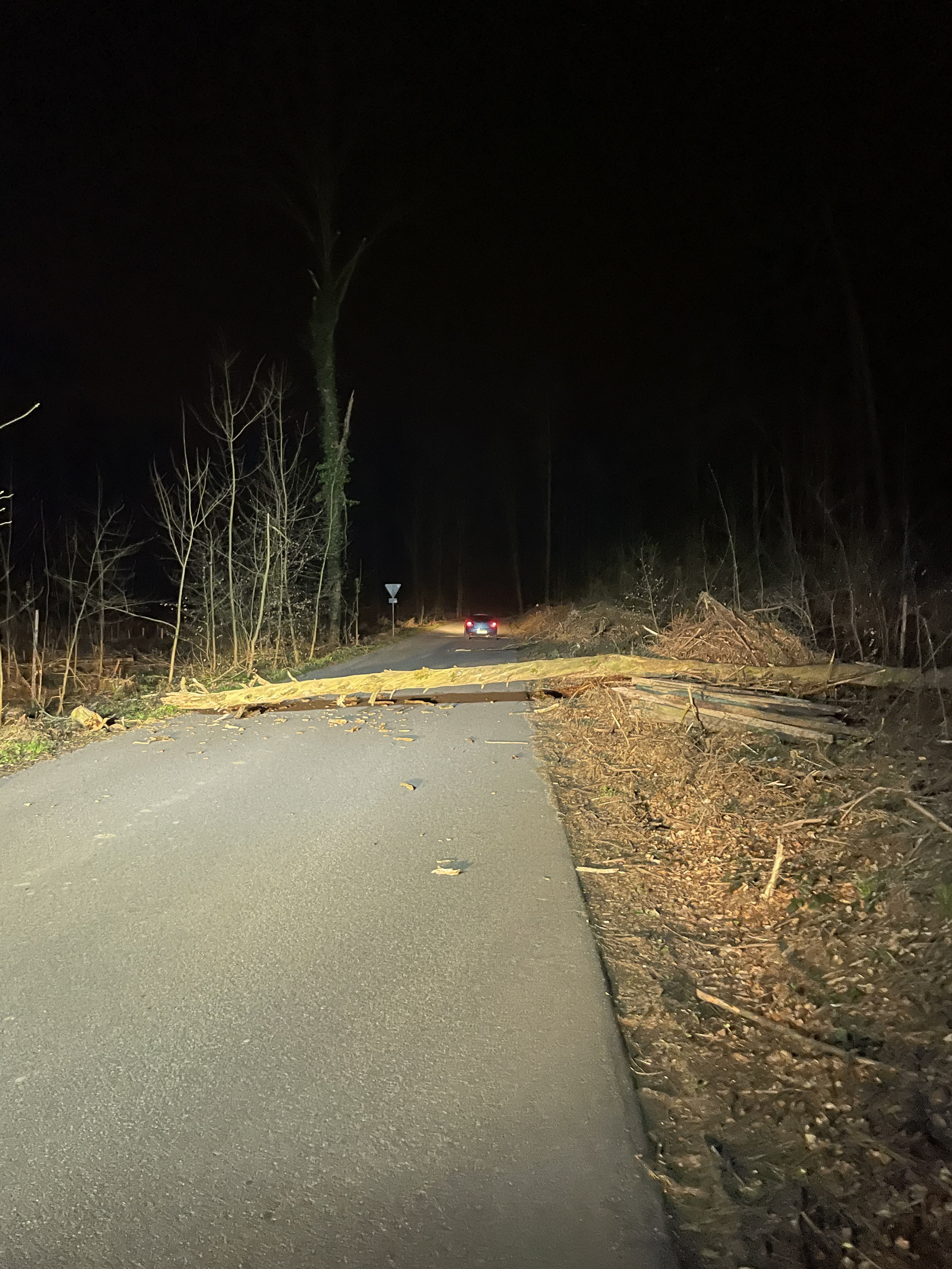 Zu sehen ist wie ein umgestürzter Baum die Straße blockiert.