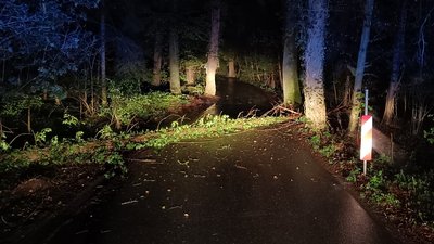 Zu sehen ist ein umgestürzter Baum, der eine Straße versperrt.