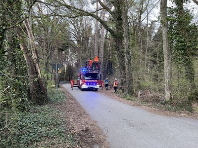 Zu sehen ist wie die DLK der Feuerwehr Kressbronn den absturzgefährdeten Ast entfernt.