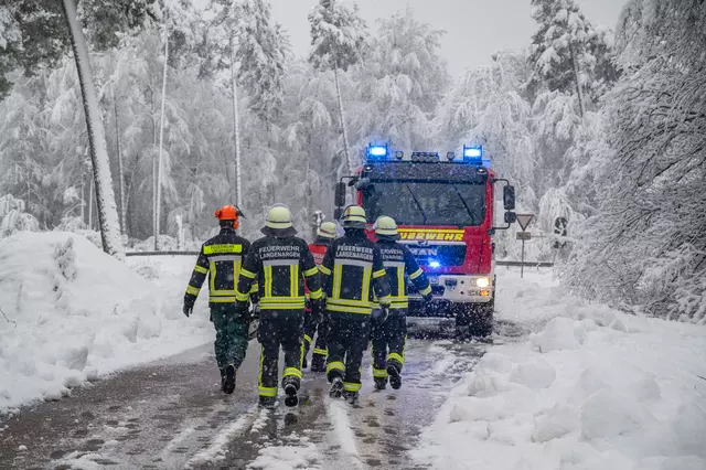 Feuerwehrleute beseitigen Bäume und Äste, die auf Straßen und Wege stürzten.