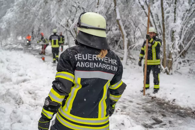 Feuerwehrleute beseitigen Bäume und Äste, die auf Straßen und Wege stürzten.