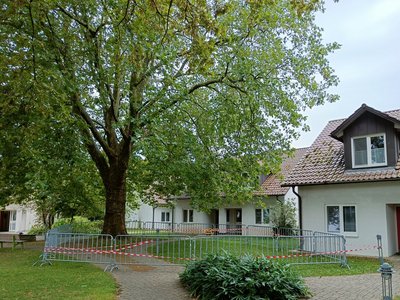 Abgebrochener Ast im Feriendorf