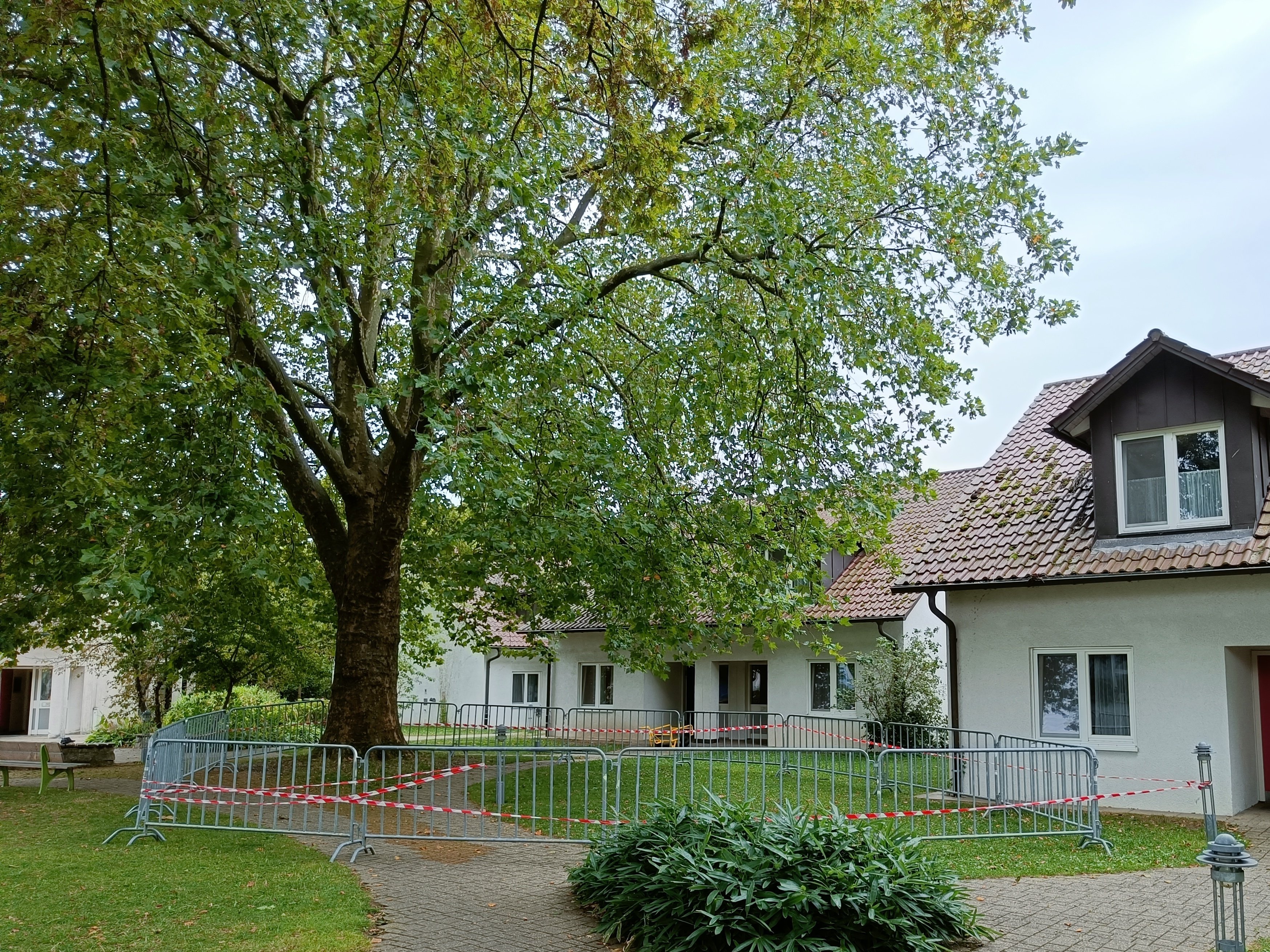 Abgebrochener Ast im Feriendorf