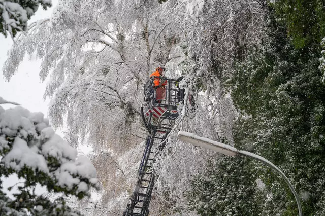 Feuerwehrleute beseitigen Bäume und Äste, die auf Straßen und Wege stürzten.