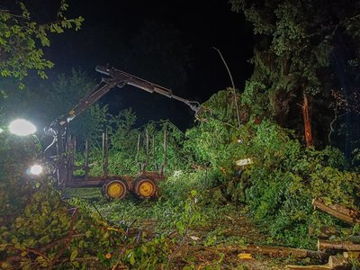 Zu sehen ist wie die Feuerwehr umgestürzte Bäume von der Straße entfernt.