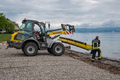 Treibholzsperren setzen 1