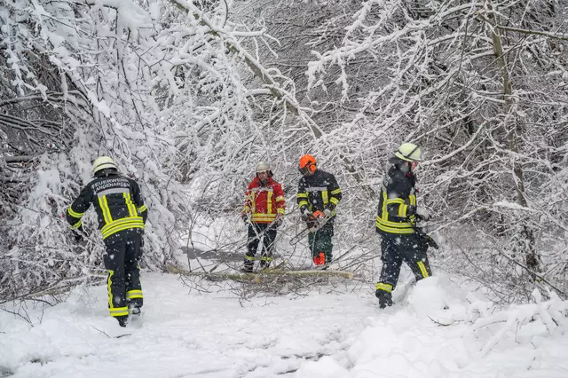 Feuerwehrleute beseitigen Bäume und Äste, die auf Straßen und Wege stürzten.