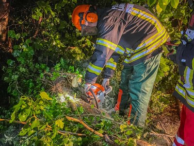 Zu sehen ist wie die Feuerwehr umgestürzte Bäume von der Straße entfernt.