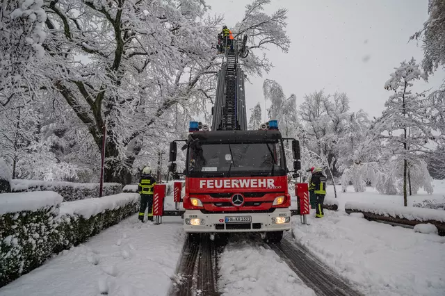 Feuerwehrleute beseitigen Bäume und Äste, die auf Straßen und Wege stürzten.