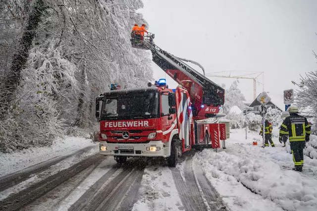 Feuerwehrleute beseitigen Bäume und Äste, die auf Straßen und Wege stürzten.