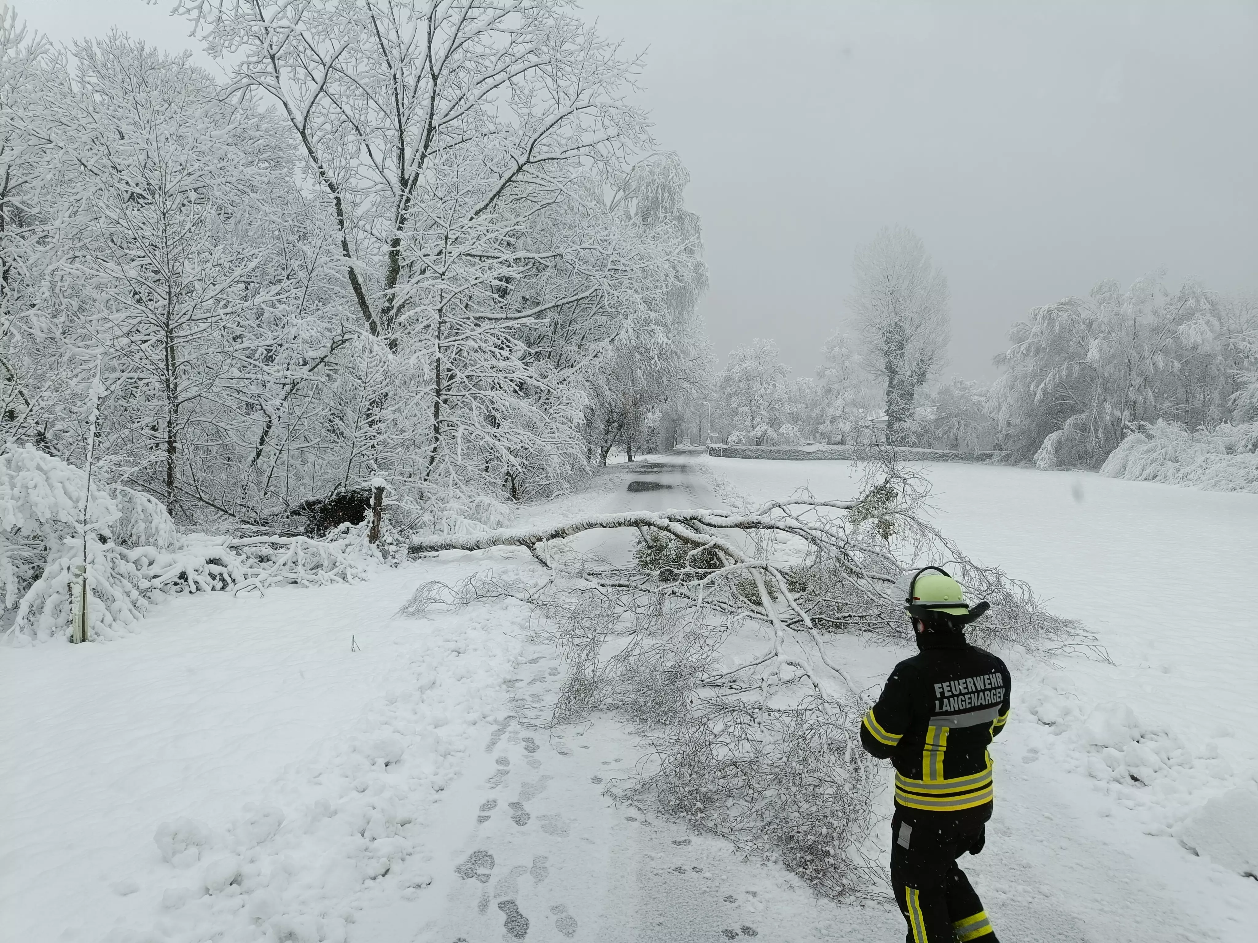 Ein Baum blockiert die Zufahrtstraße zum Yachthafen.