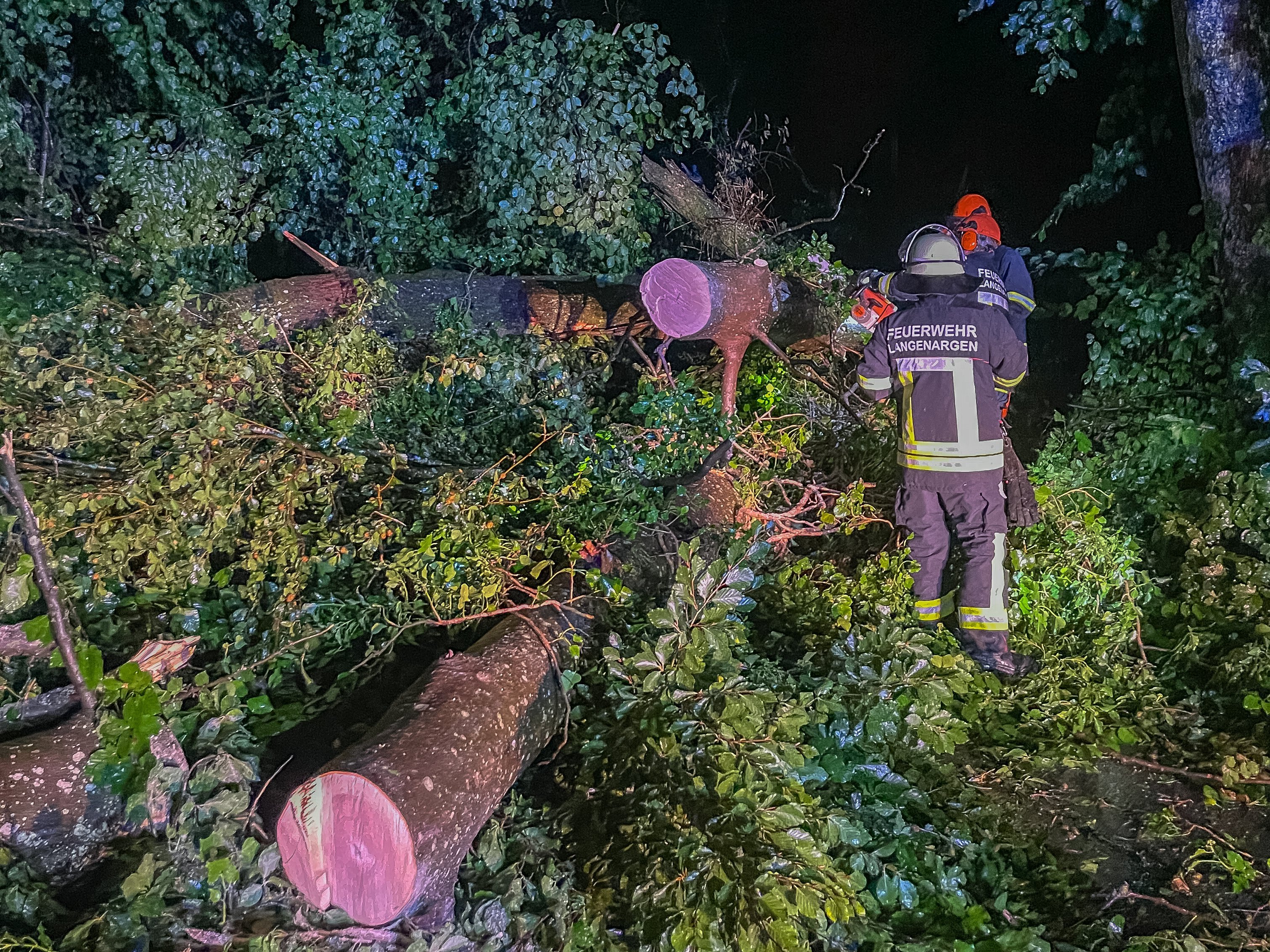 Zu sehen ist wie die Feuerwehr umgestürzte Bäume von der Straße entfernt.