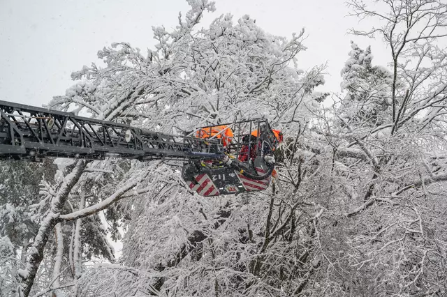 Feuerwehrleute beseitigen Bäume und Äste, die auf Straßen und Wege stürzten.