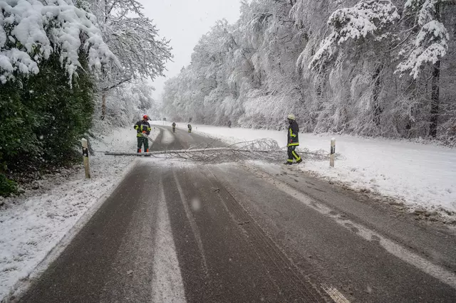 Feuerwehrleute beseitigen Bäume und Äste, die auf Straßen und Wege stürzten.