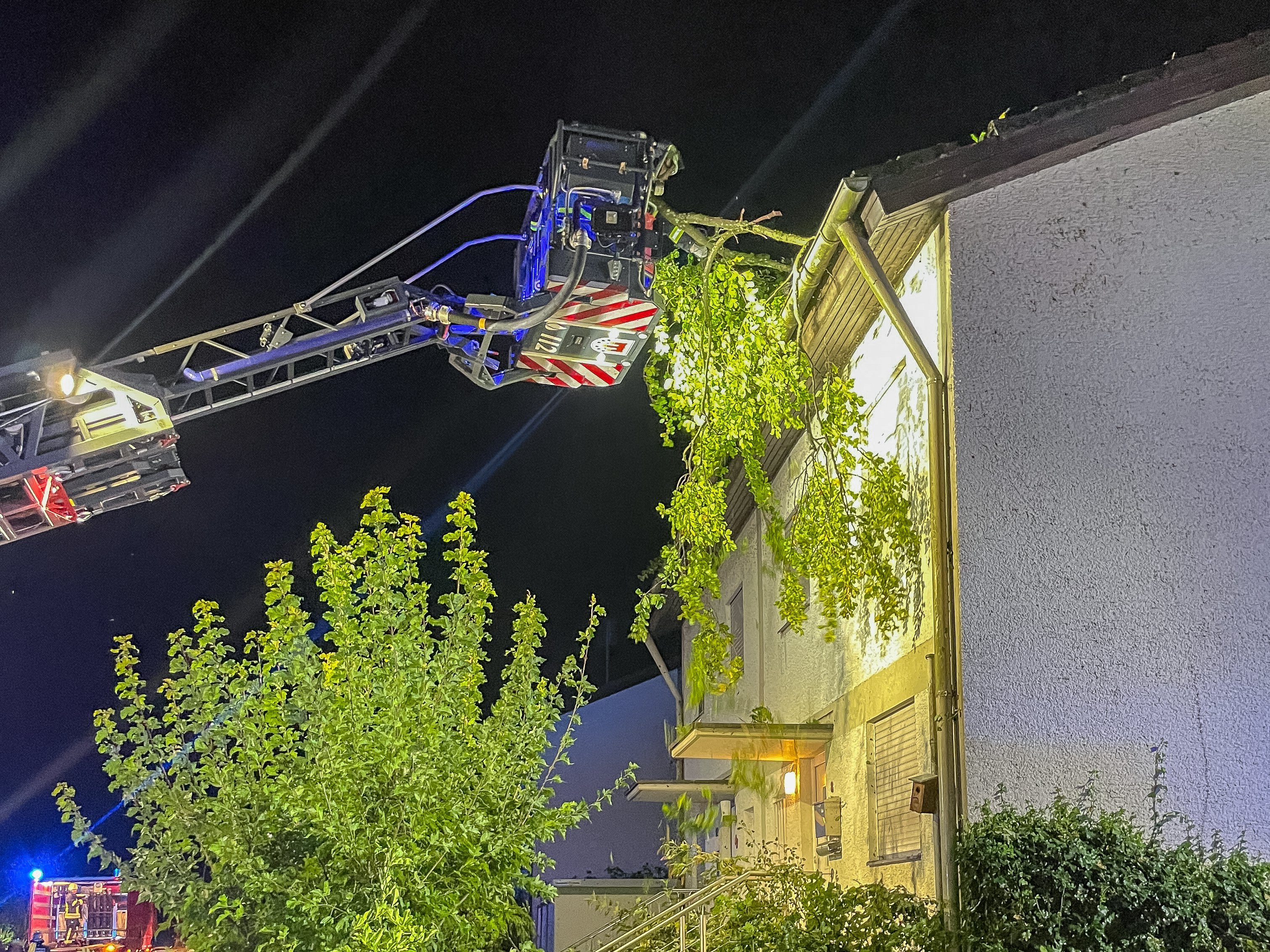 Zu sehen ist wie die Feuerwehr umgestürzte Bäume von der Straße entfernt.