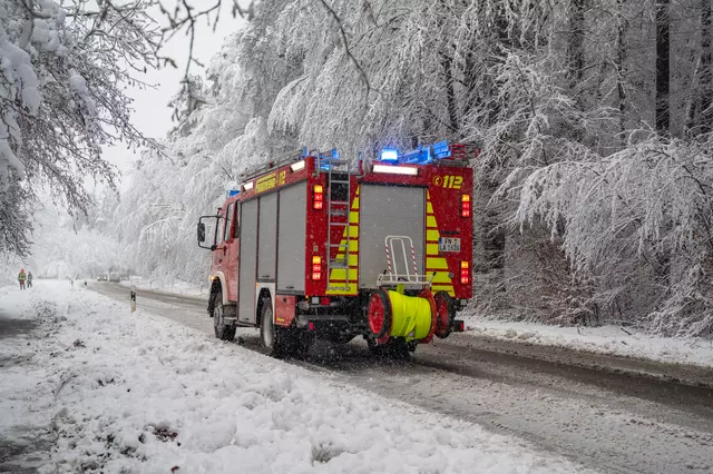 Feuerwehrleute beseitigen Bäume und Äste, die auf Straßen und Wege stürzten.