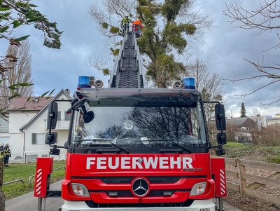 Über die Drehleiter entfernen die Feuerwehrleute einen Ast, der auf eine Straße zu stürzen droht.