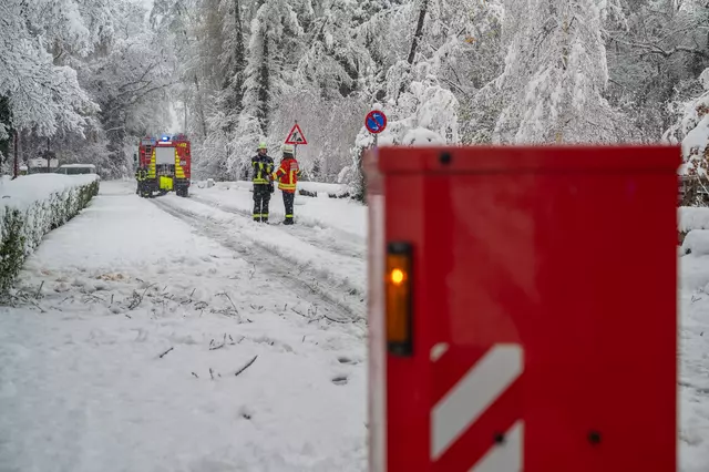 Feuerwehrleute beseitigen Bäume und Äste, die auf Straßen und Wege stürzten.