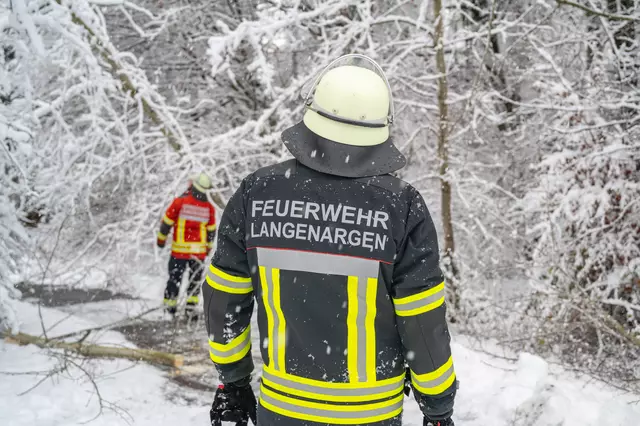 Feuerwehrleute beseitigen Bäume und Äste, die auf Straßen und Wege stürzten.